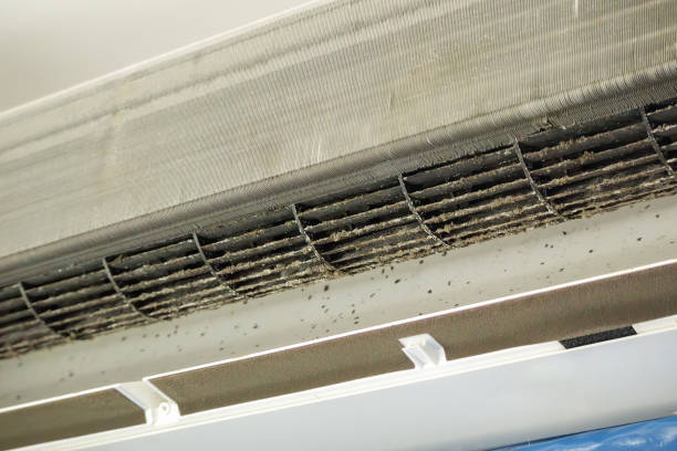 Best Air Duct Cleaning Near Me  in Elon, NC